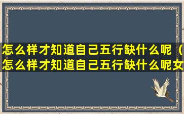 怎么样才知道自己五行缺什么呢（怎么样才知道自己五行缺什么呢女孩）