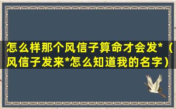 怎么样那个风信子算命才会发*（风信子发来*怎么知道我的名字）