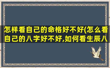 怎样看自己的命格好不好(怎么看自己的八字好不好,如何看生辰八字好坏)