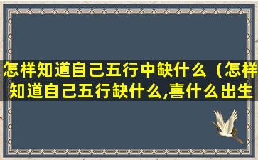 怎样知道自己五行中缺什么（怎样知道自己五行缺什么,喜什么出生时辰忘记了）