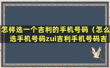 怎样选一个吉利的手机号码（怎么选手机号码zui吉利手机号码吉凶）