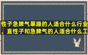 性子急脾气暴躁的人适合什么行业，直性子和急脾气的人适合什么工作