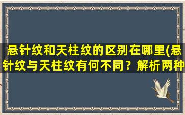 悬针纹和天柱纹的区别在哪里(悬针纹与天柱纹有何不同？解析两种纹样的特点)