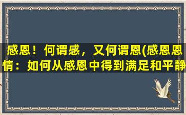 感恩！何谓感，又何谓恩(感恩恩情：如何从感恩中得到满足和平静)