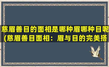 慈眉善目的面相是哪种眉哪种目呢(慈眉善目面相：眉与目的完美搭配)