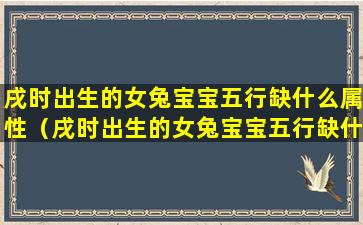 戌时出生的女兔宝宝五行缺什么属性（戌时出生的女兔宝宝五行缺什么属性呢）