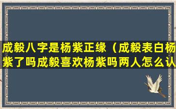 成毅八字是杨紫正缘（成毅表白杨紫了吗成毅喜欢杨紫吗两人怎么认识的）