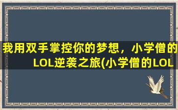 我用双手掌控你的梦想，小学僧的LOL逆袭之旅(小学僧的LOL逆袭：双手掌控梦想之路)