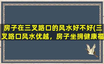 房子在三叉路口的风水好不好(三叉路口风水优越，房子坐拥健康福祉！)