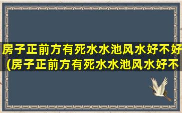 房子正前方有死水水池风水好不好(房子正前方有死水水池风水好不好呢)