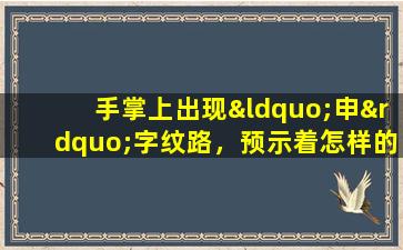 手掌上出现“申”字纹路，预示着怎样的命格