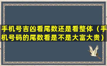 手机号吉凶看尾数还是看整体（手机号码的尾数看是不是大富大贵）