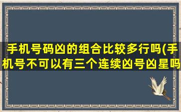 手机号码凶的组合比较多行吗(手机号不可以有三个连续凶号凶星吗)