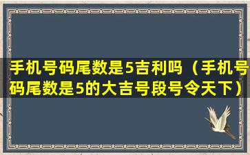 手机号码尾数是5吉利吗（手机号码尾数是5的大吉号段号令天下）