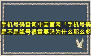 手机号码查询中国官网「手机号码是不是靓号很重要吗为什么那么多人想买靓号呢」