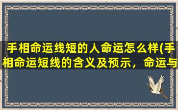 手相命运线短的人命运怎么样(手相命运短线的含义及预示，命运与手相解密)