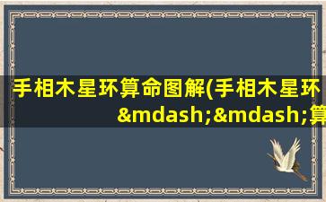 手相木星环算命图解(手相木星环——算命图解、解析、意义与分析)