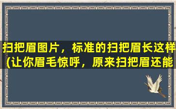 扫把眉图片，标准的扫把眉长这样(让你眉毛惊呼，原来扫把眉还能这样画！)