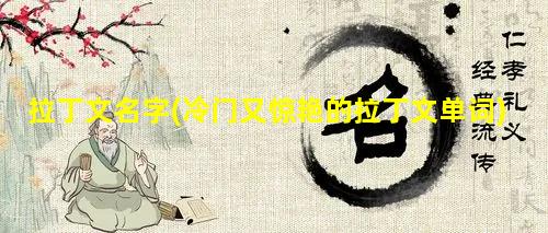 拉丁文名字(冷门又惊艳的拉丁文单词)