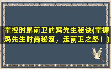 掌控时髦前卫的鸡先生秘诀(掌握鸡先生时尚秘笈，走前卫之路！)