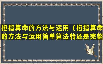 掐指算命的方法与运用（掐指算命的方法与运用简单算法转还是完整算法转）