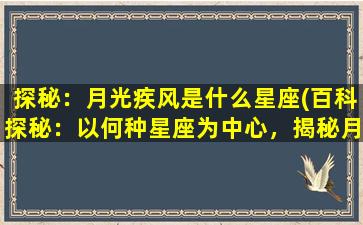 探秘：月光疾风是什么星座(百科探秘：以何种星座为中心，揭秘月光疾风的性格特点)