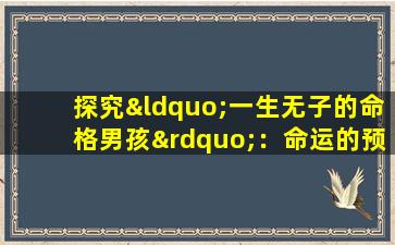 探究“一生无子的命格男孩”：命运的预设还是选择的自由