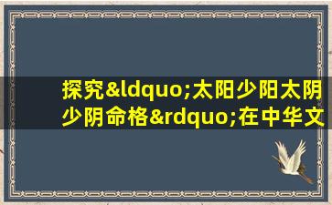 探究“太阳少阳太阴少阴命格”在中华文化中的深层含义与应用