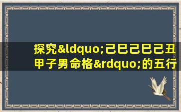 探究“己巳己巳己丑甲子男命格”的五行特征与命运走向