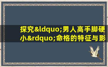 探究“男人高手脚硬小”命格的特征与影响