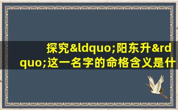 探究“阳东升”这一名字的命格含义是什么