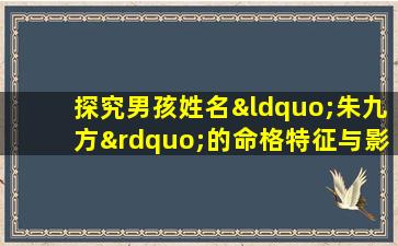 探究男孩姓名“朱九方”的命格特征与影响