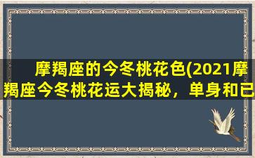 摩羯座的今冬桃花色(2021摩羯座今冬桃花运大揭秘，单身和已婚摩羯座必看！)