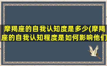 摩羯座的自我认知度是多少(摩羯座的自我认知程度是如何影响他们的人际关系的？)