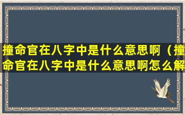 撞命官在八字中是什么意思啊（撞命官在八字中是什么意思啊怎么解释）