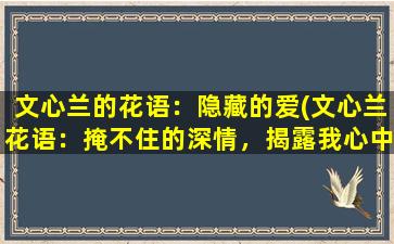 文心兰的花语：隐藏的爱(文心兰花语：掩不住的深情，揭露我心中的爱意)