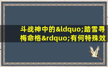 斗战神中的“踏雪寻梅命格”有何特殊效果与作用