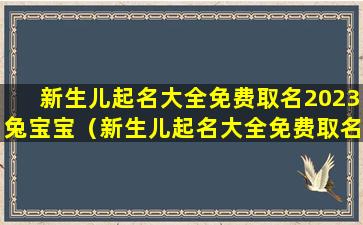 新生儿起名大全免费取名2023兔宝宝（新生儿起名大全免费取名2023兔宝宝名字）