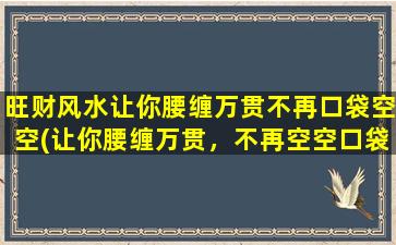 旺财风水让你腰缠万贯不再口袋空空(让你腰缠万贯，不再空空口袋的旺财风水)