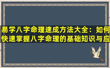 易学八字命理速成方法大全：如何快速掌握八字命理的基础知识与应用技巧