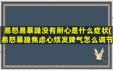 易怒易暴躁没有耐心是什么症状(易怒暴躁焦虑心烦发脾气怎么调节)