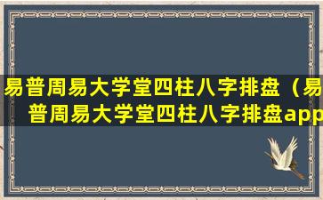 易普周易大学堂四柱八字排盘（易普周易大学堂四柱八字排盘app）