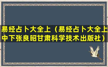 易经占卜大全上（易经占卜大全上中下张良昭甘肃科学技术出版社）