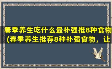 春季养生吃什么最补强推8种食物(春季养生推荐8种补强食物，让你更健康！)