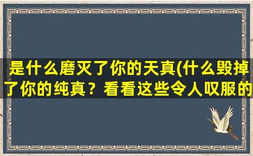 是什么磨灭了你的天真(什么毁掉了你的纯真？看看这些令人叹服的例子！)