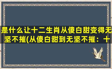 是什么让十二生肖从傻白甜变得无坚不摧(从傻白甜到无坚不摧：十二生肖之以是引领智慧*)