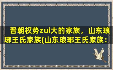 晋朝权势zui大的家族，山东琅琊王氏家族(山东琅琊王氏家族：晋朝zui具权势的家族)