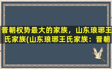 晋朝权势最大的家族，山东琅琊王氏家族(山东琅琊王氏家族：晋朝最具权势的家族)