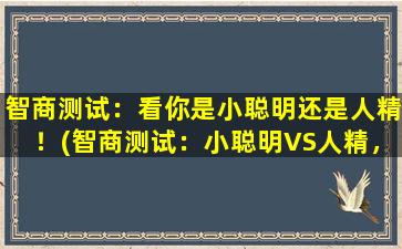 智商测试：看你是小聪明还是人精！(智商测试：小聪明VS人精，谁更厉害？)