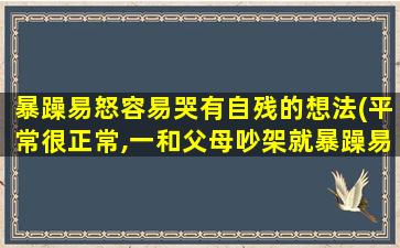 暴躁易怒容易哭有自残的想法(平常很正常,一和父母吵架就暴躁易怒,自残)